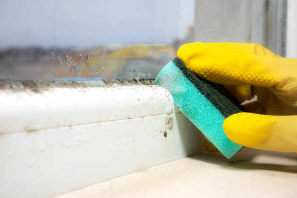 Mold Remediation for Rental Properties in Altoona, AL